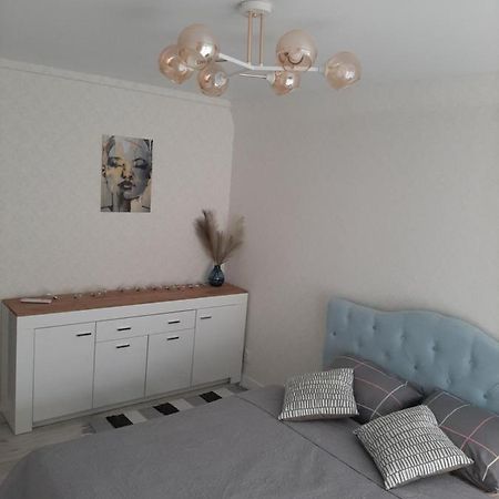 Comfortable Apartment Zamostyanska 34А Vinnytsia Exteriör bild